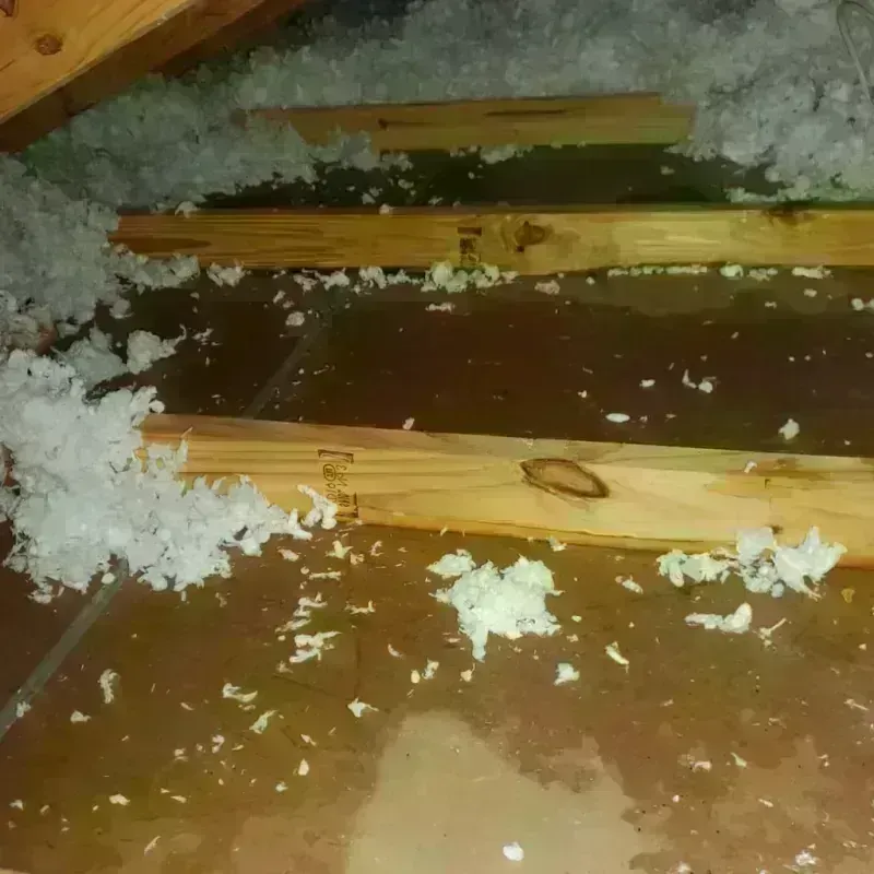 Attic Water Damage in Hayesville, NC